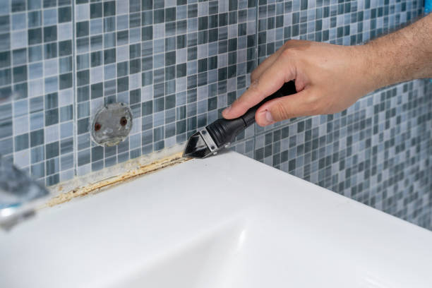 Best Home Mold Removal  in Elk Plain, WA