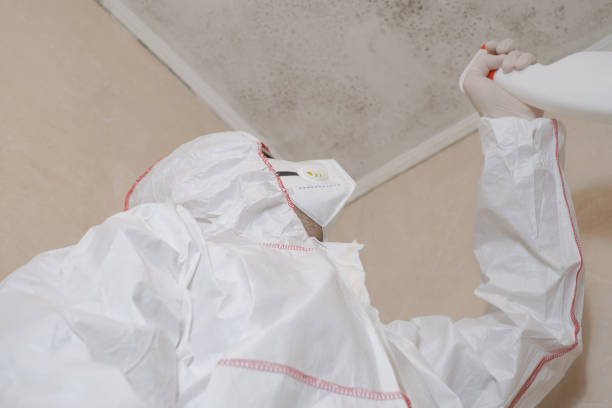 Best Home Mold Removal  in Elk Plain, WA